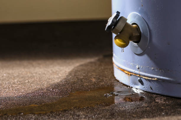 Best Flood restoration services  in Honeyville, UT