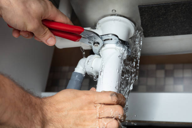 Best Sewage cleanup and water damage restoration  in Honeyville, UT