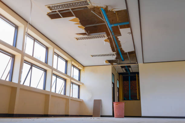 Best Water damage restoration company  in Honeyville, UT