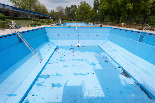 Best Water damage cleanup near me  in Honeyville, UT