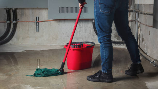 Best 24-hour water damage restoration  in Honeyville, UT