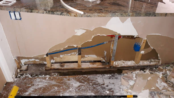 Best Water damage restoration services  in Honeyville, UT