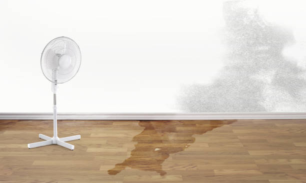 Carpet water damage restoration in UT