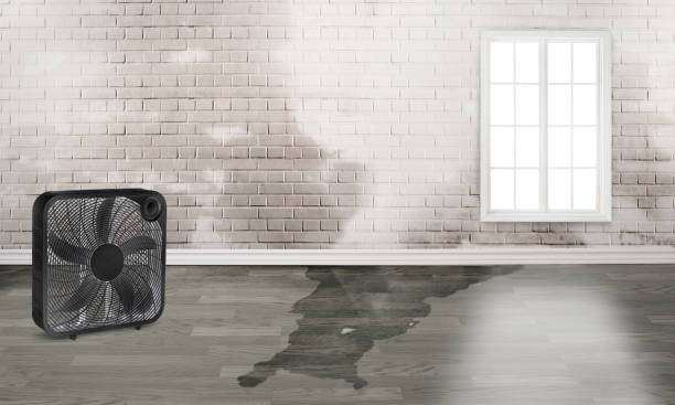 Best Fire Damage Restoration  in Honeyville, UT