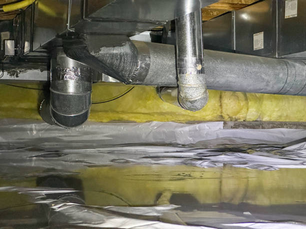 Best Flood restoration services  in Honeyville, UT