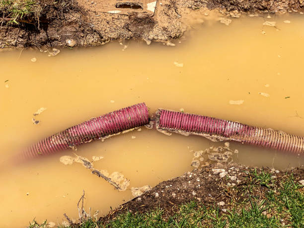 Best 24/7 water damage repair  in Honeyville, UT
