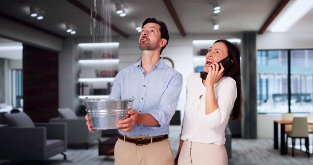 Best Flooded house restoration  in Honeyville, UT